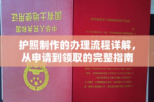 寿县护照制作的办理流程详解，从申请到领取的完整指南